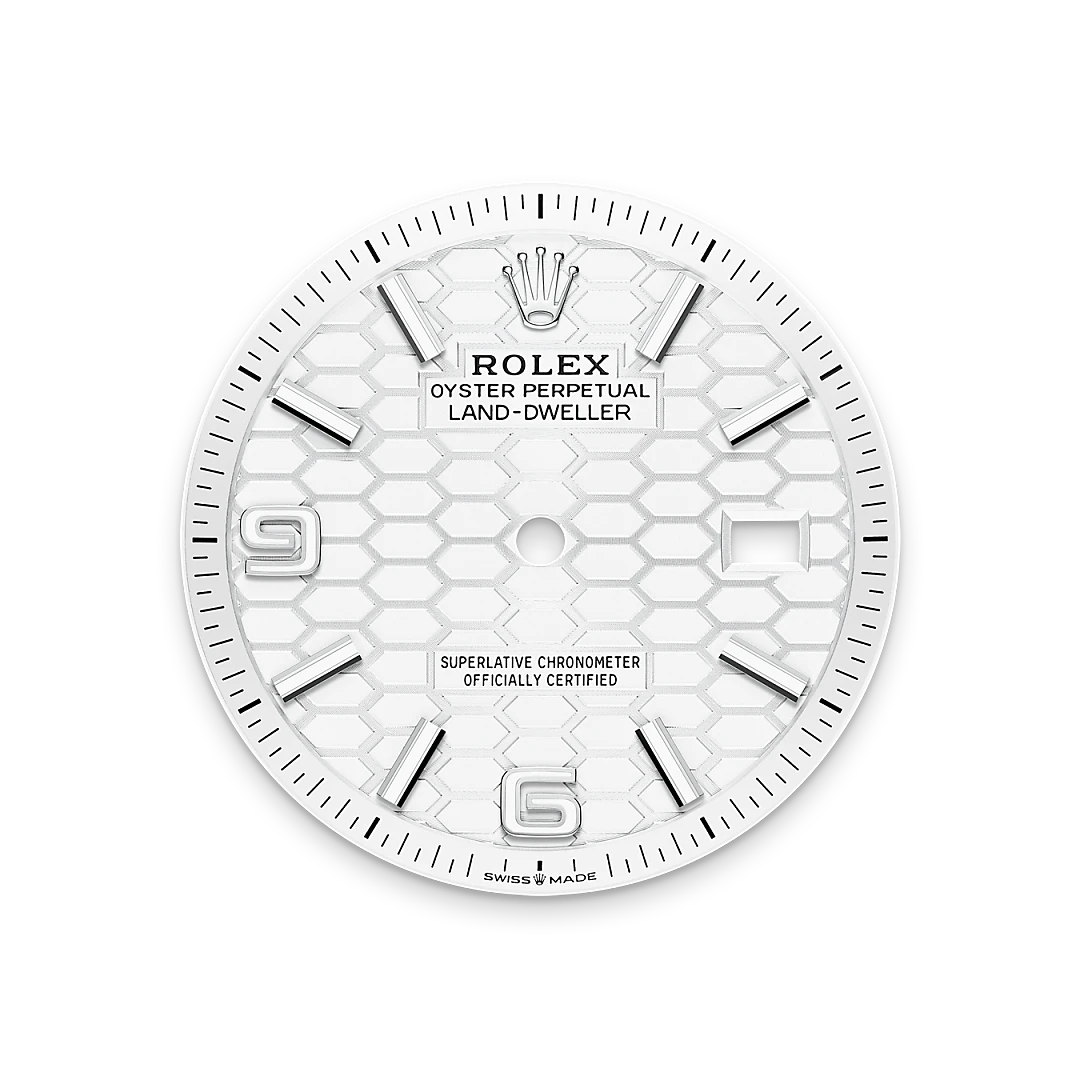 Rolex Land-Dweller in White Rolesor - combination of Oystersteel and white gold, M127234-0001 Vendemmia Joyero
