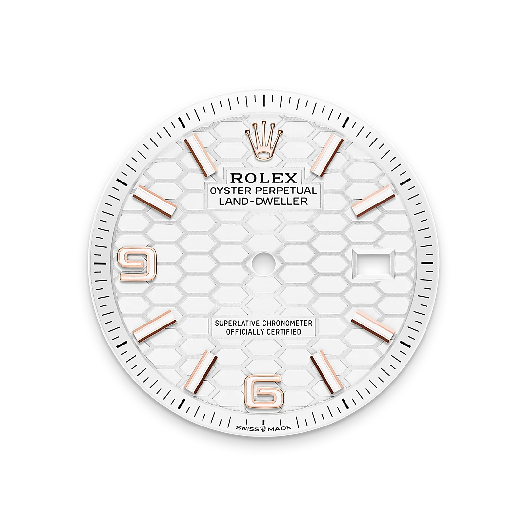 Rolex Land-Dweller in 18 ct Everose gold, M127235-0001 Vendemmia Joyero