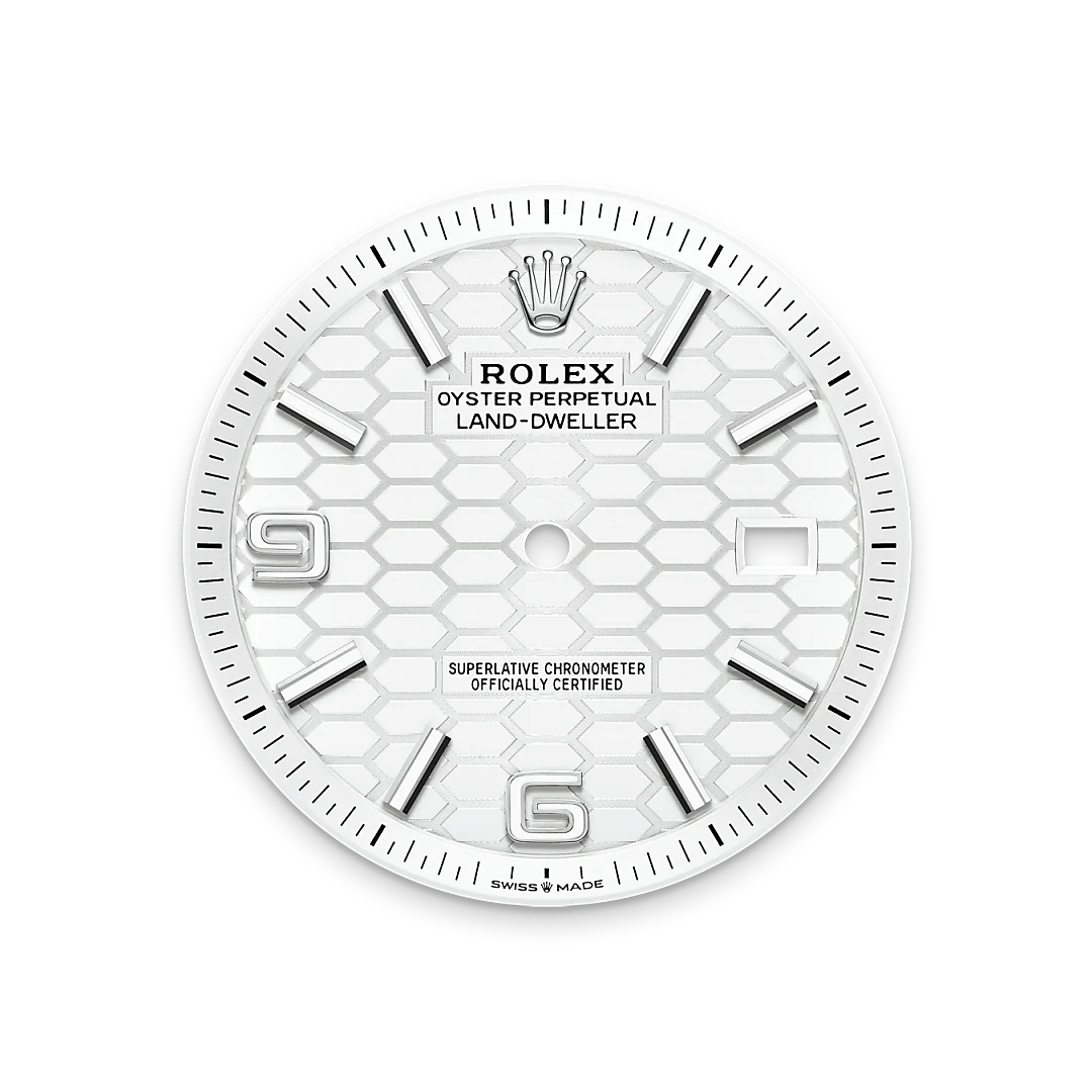 Rolex Land-Dweller in White Rolesor - combination of Oystersteel and white gold, M127334-0001 Vendemmia Joyero