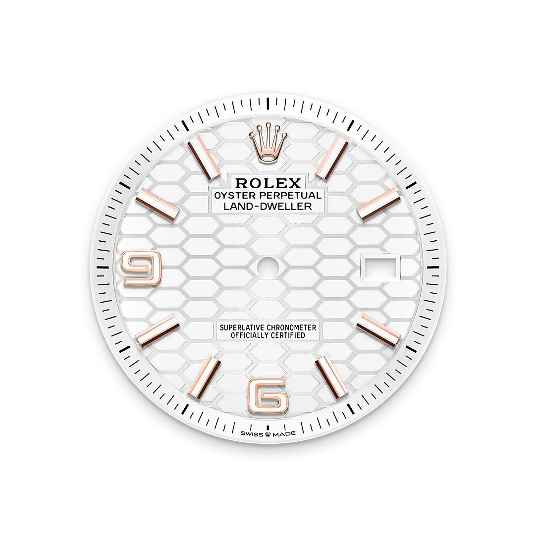 Rolex Land-Dweller in 18 ct Everose gold, M127335-0001 Vendemmia Joyero