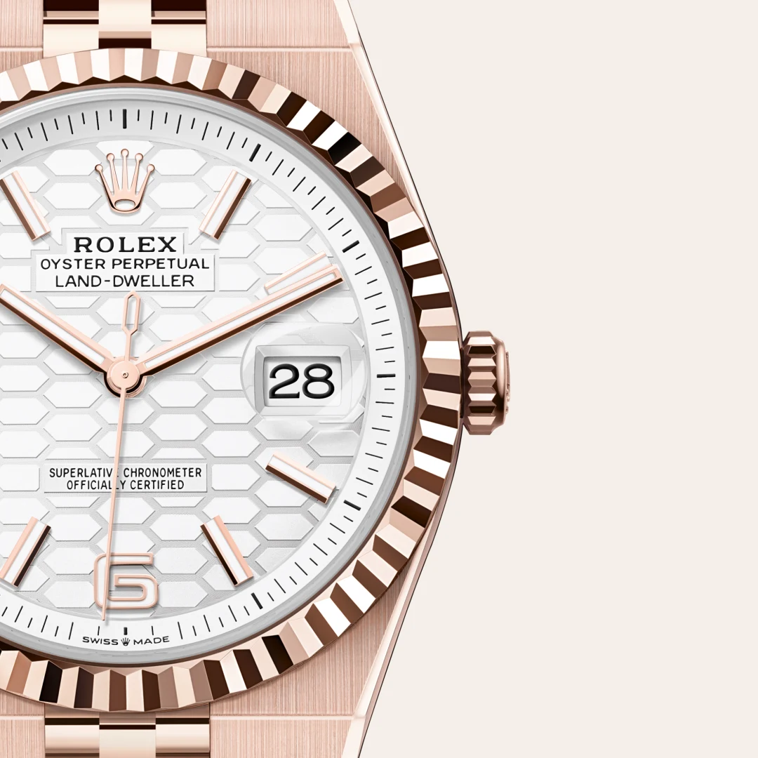 Rolex Land-Dweller in 18 ct Everose gold, M127335-0001 Vendemmia Joyero