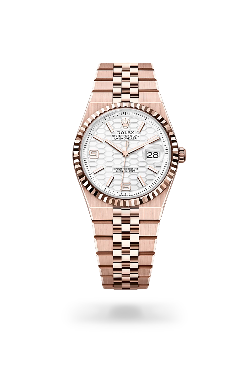 Rolex Land-Dweller in 18 ct Everose gold, M127235-0001 - Vendemmia Joyero