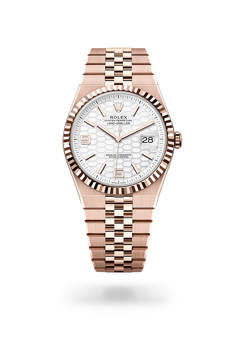 Rolex Land-Dweller in 18 ct Everose gold, M127335-0001 - Vendemmia Joyero