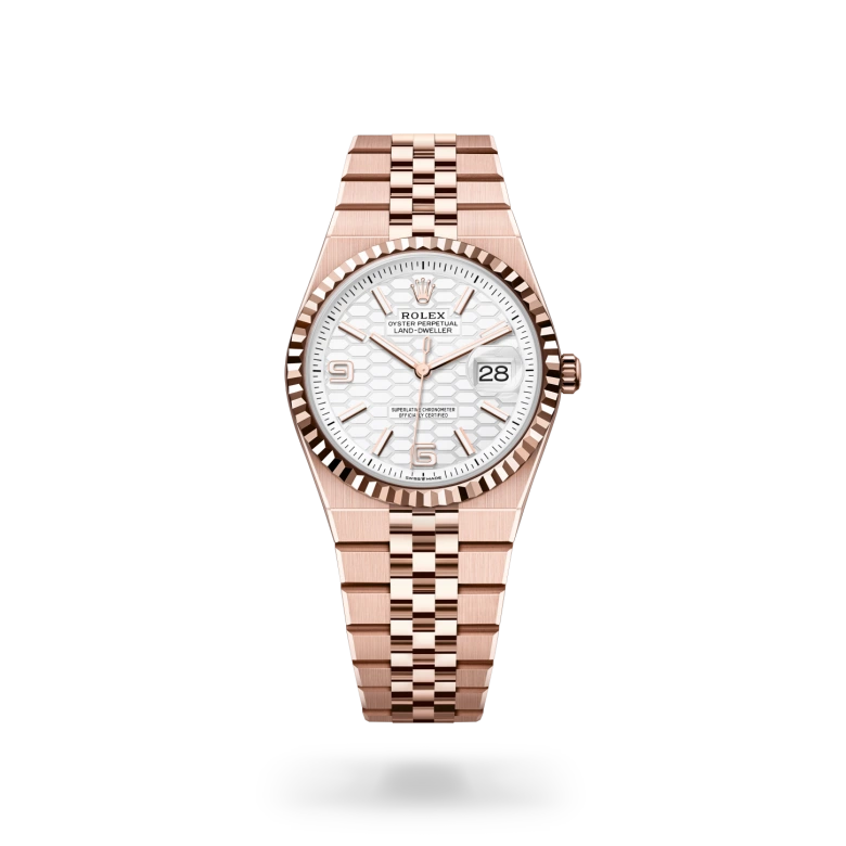 Rolex Land-Dweller in 18 ct Everose gold, M127235-0001 Vendemmia Joyero