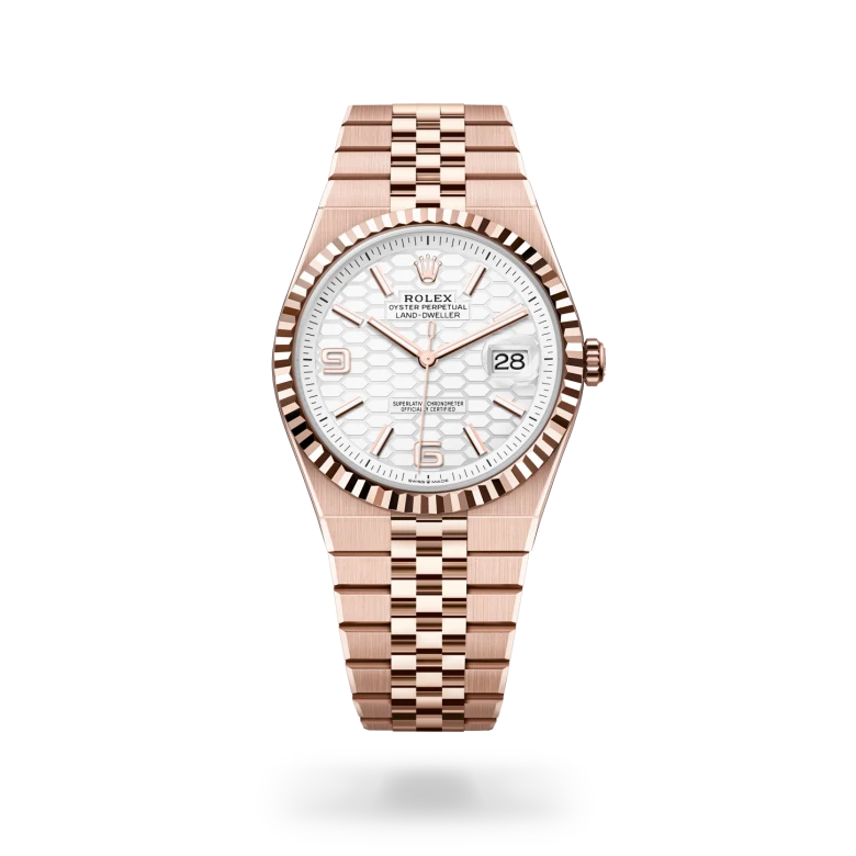 Rolex Land-Dweller in 18 ct Everose gold, M127335-0001 Vendemmia Joyero